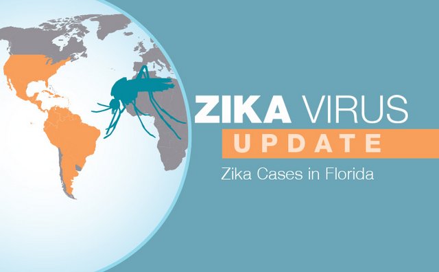 Advice From CDC For People In Or Traveling To Zika Affected Areas In Florida