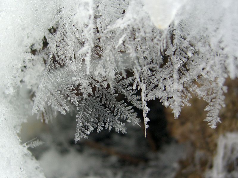 800px-Feathery_Snow_Crystals_(2217830221)