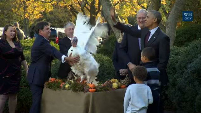 Remarks By The President At Pardoning Of The National Thanksgiving Turkey