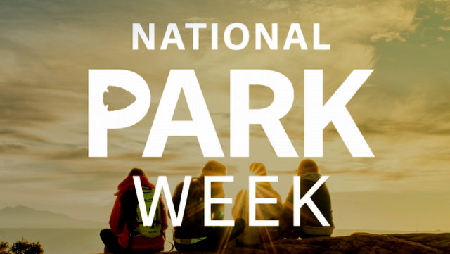 8 Ways to Support National Parks During National Park Week