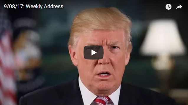 President Trumps Weekly Address…This Week on Taxes & Natural Disasters