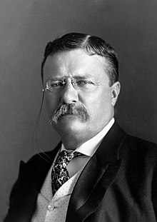 Teddy Roosevelt on Courage