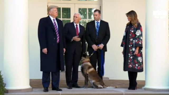Special Forces Dog Conan Honored For Service in al-Baghdadi Raid